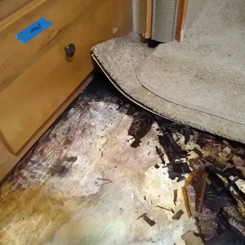 Wood Floor Water Damage in Avila Beach, CA